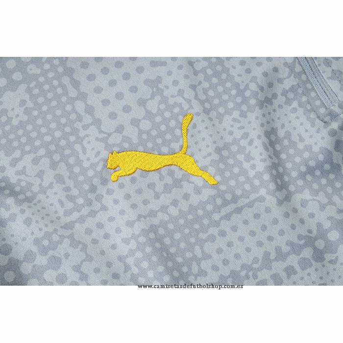 Chandal de Sudadera del Borussia Dortmund Nino 25-26 Gris